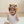 Load image into Gallery viewer, Mambobaby Raccoon Baby Headgear
